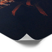 Poster Spider Firework (Coin)