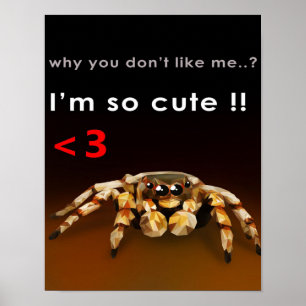 Poster Spider Je suis si mignon Cadeau de Spider Lover