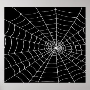 Poster Spider Web
