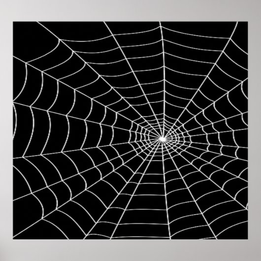 Poster Spider Web (Devant)