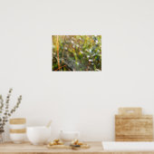Poster Spider Web (Cuisine)