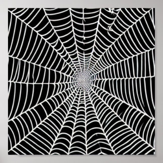 Poster Spider Web