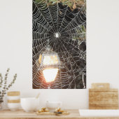 Poster Spider Web à la nuit Photographie Arachnologie (Cuisine)