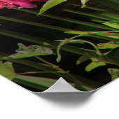 Poster Spider - Web Charlottes (Coin)