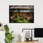 Poster Spider - Web Charlottes (Bureau à domicile)