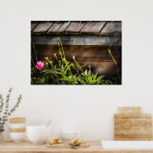 Poster Spider - Web Charlottes (Cuisine)