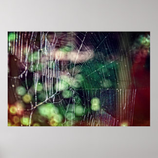 Poster Spiderweb #5476