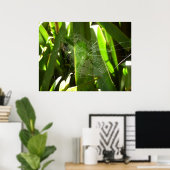 Poster Spiderweb dans Tropical Leaves Nature (Bureau à domicile)