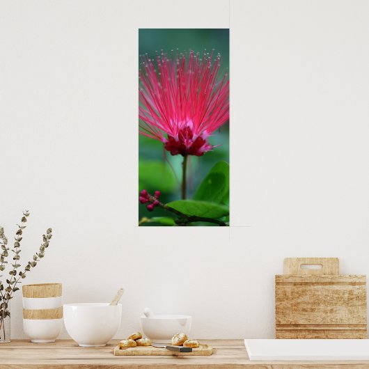 Poster Spikes roses (Cuisine)