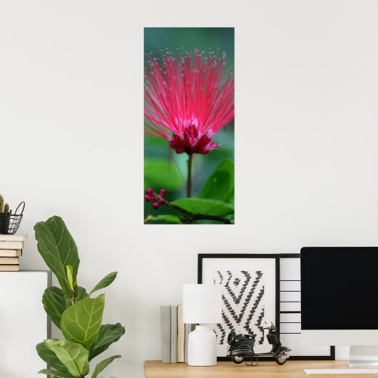 Poster Spikes roses (Bureau à domicile)