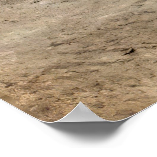 Poster Spindletop Oil field - Texas 1902 (Coin)