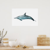 Poster Spinner Dolphin realistic illustration Print (Cuisine)