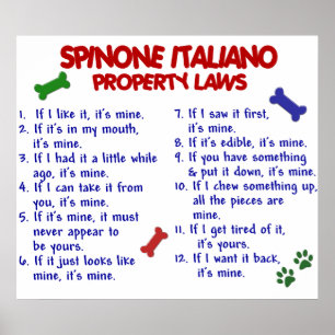 POSTER SPINONE ITALIANO PL2