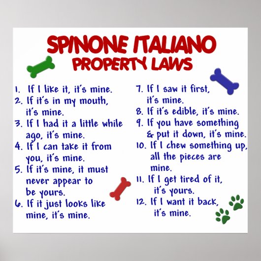 POSTER SPINONE ITALIANO PL2 (Devant)