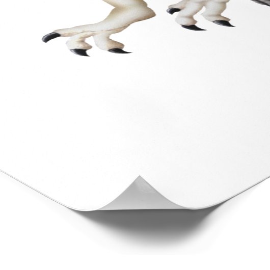 Poster Spinosaure (Coin)