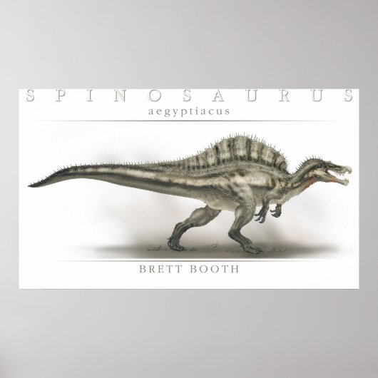 Poster Spinosaurus aegyptiacus (Devant)