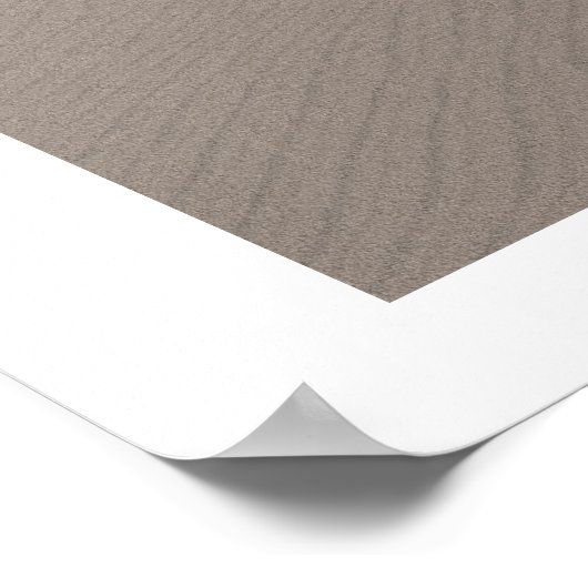 Poster Spinosaurus Walking Print (Coin)