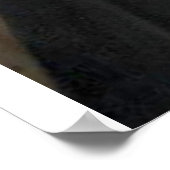 Poster spinoza (Coin)