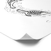 Poster Spirale de Phoques (Coin)