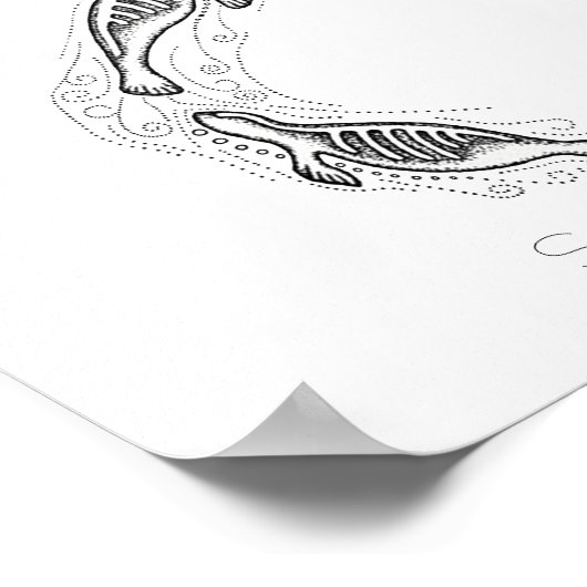 Poster Spirale de Phoques (Coin)