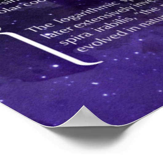 Poster Spirale logarithmique (Coin)