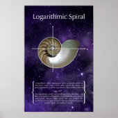 Poster Spirale logarithmique (Devant)