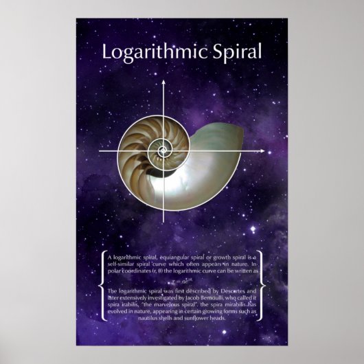 Poster Spirale logarithmique (Devant)