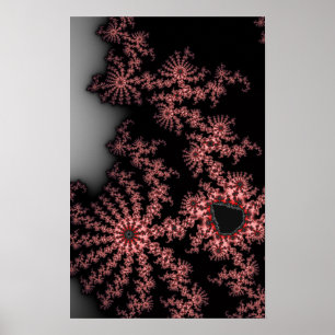 Poster Spirales roses