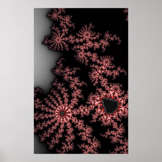 Poster Spirales roses (Devant)