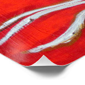 Poster Spirit Boab (Coin)