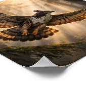 Poster Spirit of the Deep Forest – Mountain Hawk-Eagle (Coin)