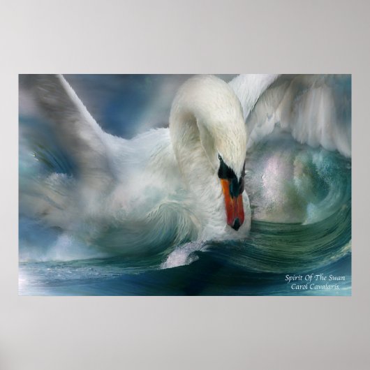 Poster Spirit Of The Swan Art Poster/Imprimer (Devant)