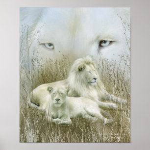Poster Spirit Of The White Lions Art Poster/Imprimer