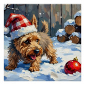 Poster Spirited Cairn Terrier Dog Digging for Christmas T (Devant)