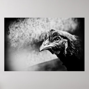 Poster spirits and chickens