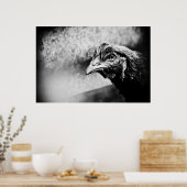 Poster spiritueux et poulets (Cuisine)