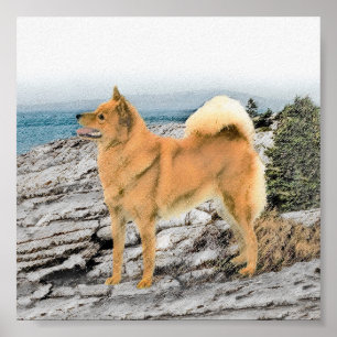 Poster Spitz finlandais à Seashore Peinture - Chien Art