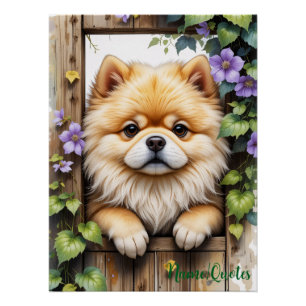 Poster Spitz Poméranien regardant à travers une porte en 