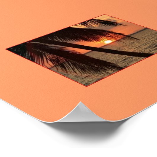 Poster Splendeur tropicale (Coin)