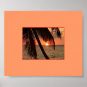 Poster Splendeur tropicale (Devant)