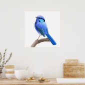 Poster Splendid Fairy Wren Bird Print (Cuisine)