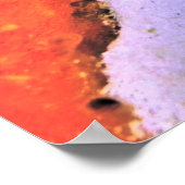 Poster Splendide poisson-crapaud (Coin)