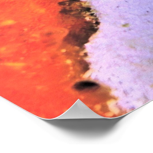 Poster Splendide poisson-crapaud (Coin)