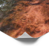 Poster Splendor Automne Zion (Coin)