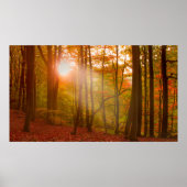 Poster Splendor d'automne (Devant)