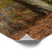 Poster Splendor d'automne (Coin)