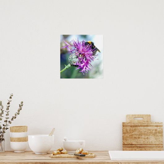 Poster Splendor été (Cuisine)