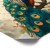 Poster Splendor Peacock vintage (Coin)
