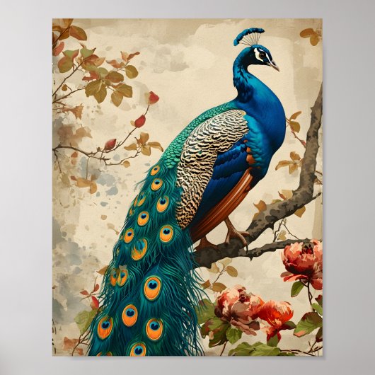 Poster Splendor Peacock vintage (Devant)