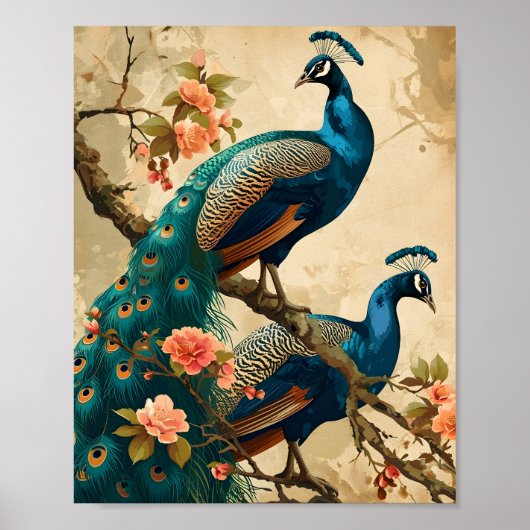 Poster Splendor Peacock vintage (Devant)